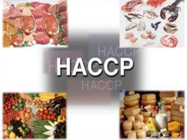 Най-добрите НАССР курсове