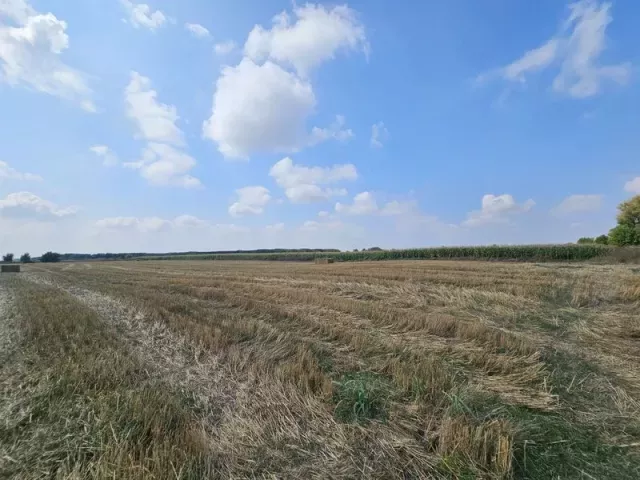 снимка  към обява с номер 55126