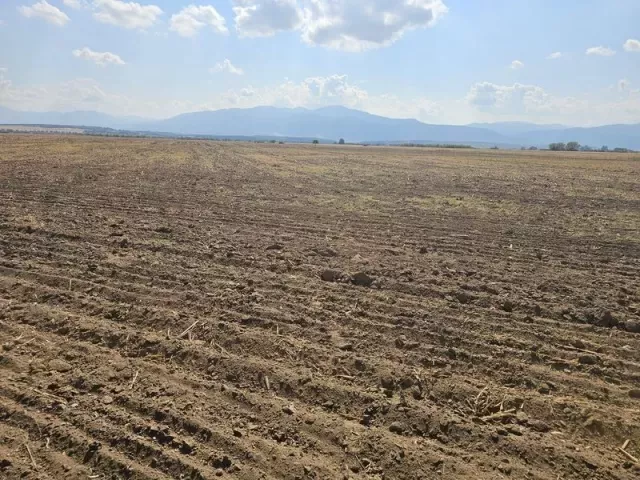 снимка  към обява с номер 55163