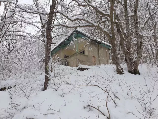 снимка  към обява с номер 55167
