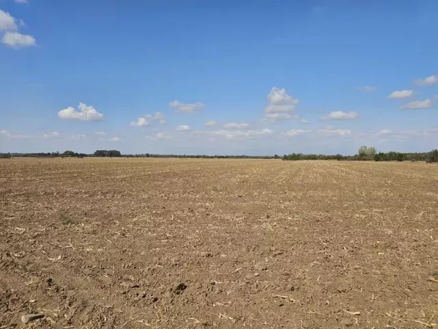 снимка  към обява с номер 55163