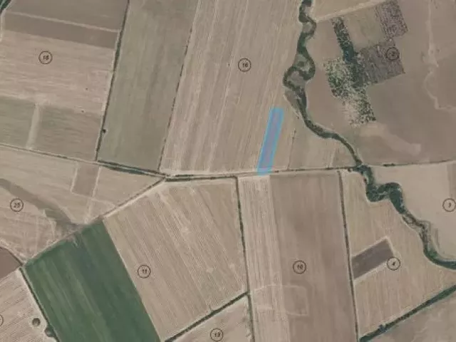 снимка  към обява с номер 55163