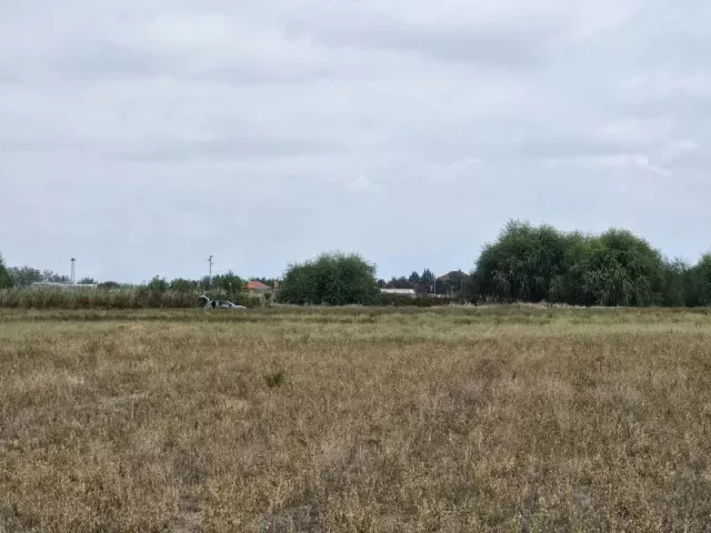 снимка  към обява с номер 55162