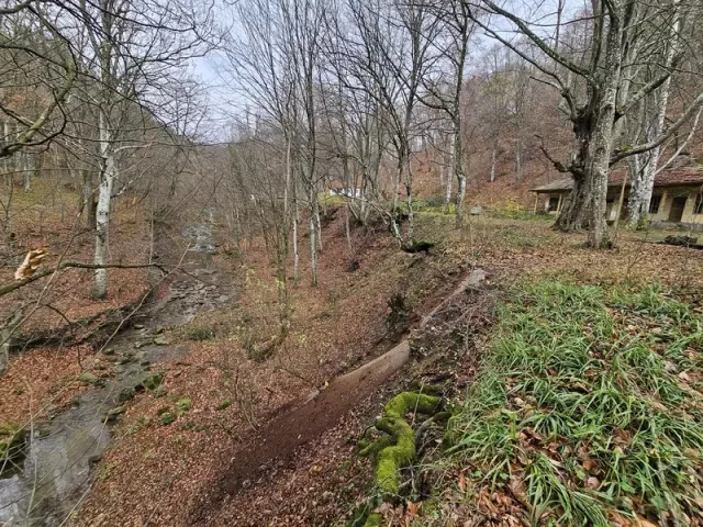 снимка  към обява с номер 55168