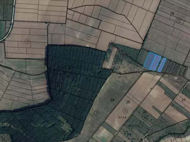 снимка  към обява с номер 55166