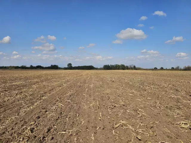 снимка  към обява с номер 55163