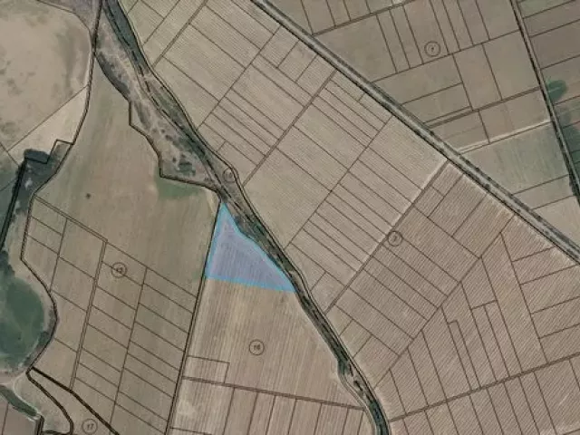 Продавам 25 дка земя в землището на с. Боянци