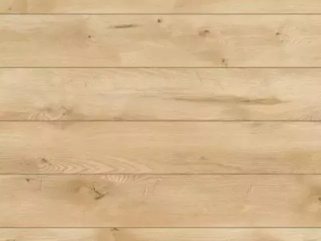 снимка  към обява с номер 55179